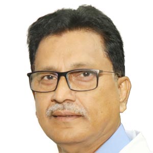 Prof. Dr. A H M Towhidul Alam